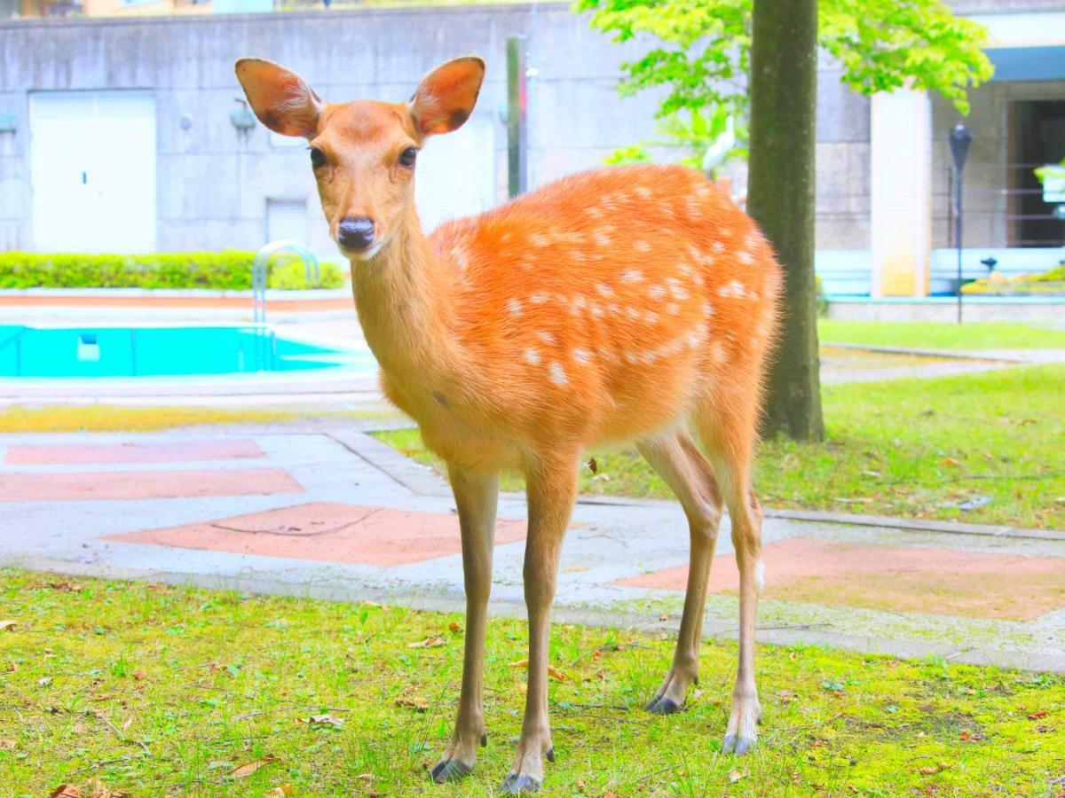Reyzenit Kinosaki Suite Villa تويوكا المظهر الخارجي الصورة